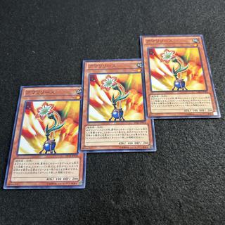 a2916 [Yu-Gi-Oh!] Amarylease 3-Card Set 3枚
