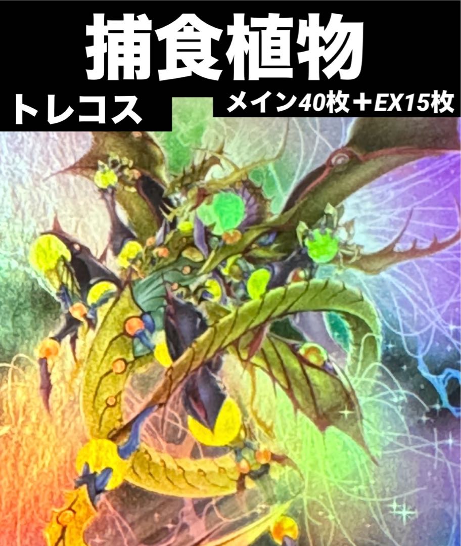 遊戯王 捕食植物 デッキ プレデタープランツ メイン40枚+EX15枚 遊戯王 捕食植物 デッキ プレデタープランツ メイン40枚+EX15枚
