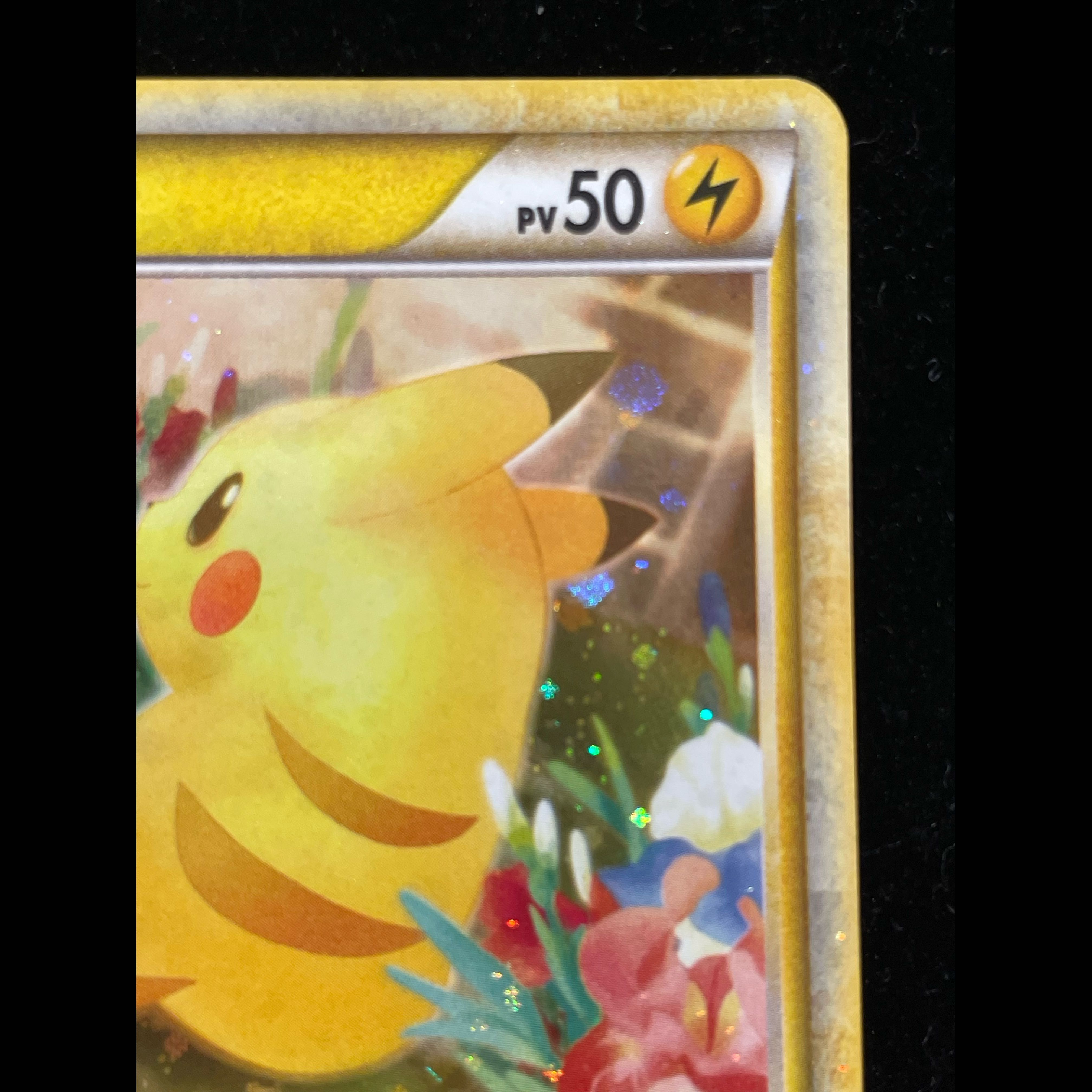 ピカチュウワールド フランス プロモ Pikachu world ピカチュウ 《PIKACHU WORLD/フランス語/Atsuko Nishida》 (プロモ