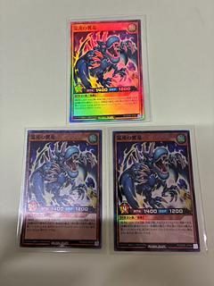 混沌の翼竜 SR RD/SD0E-JPS04 3枚