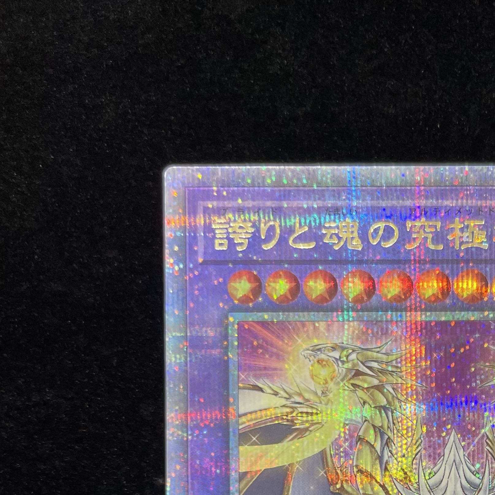 誇りと魂の究極竜 ROTA-JP000 25th SEC 誇りと魂の究極竜