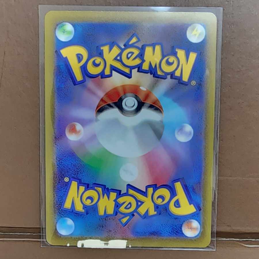 スピンロトム AR 213/193 1枚