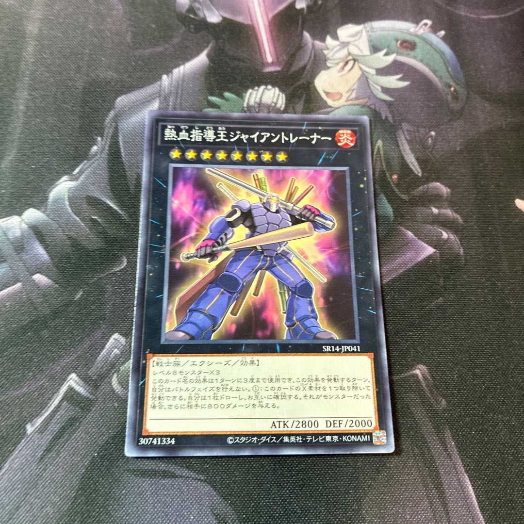 Hot-blooded Guidance King Giant Trainer Normal A-916