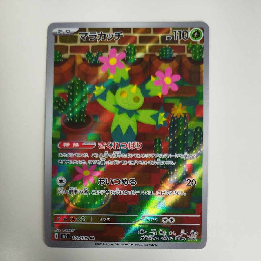 @ @ Maractus AR 101/100 1枚