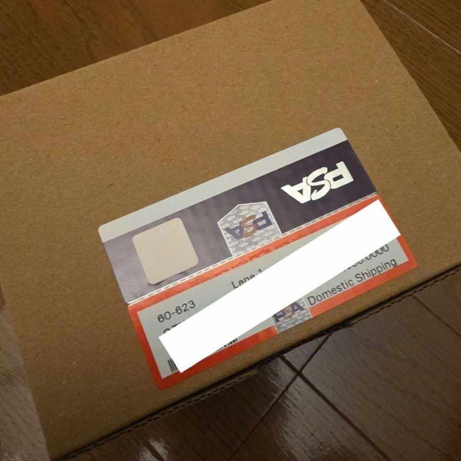 リホルダー済 リホルダー済 【PSA10】マリオピカチュウ PROMO 294/XY-P 1枚