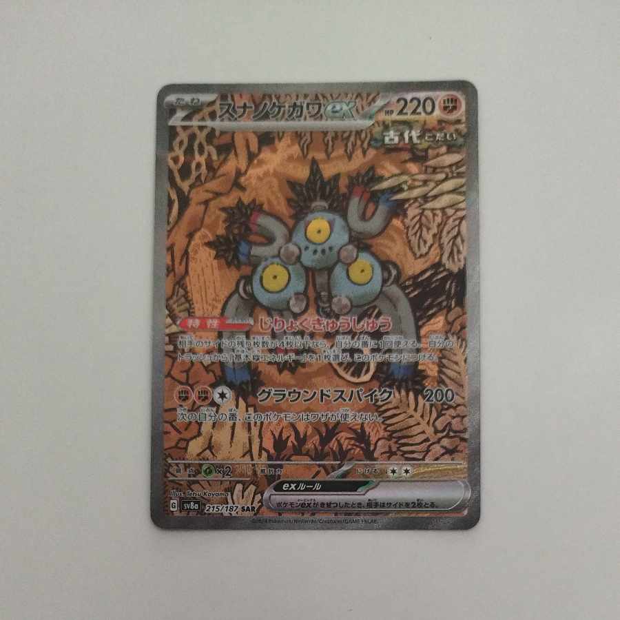 @ @ スナノケガワex SAR 215/187