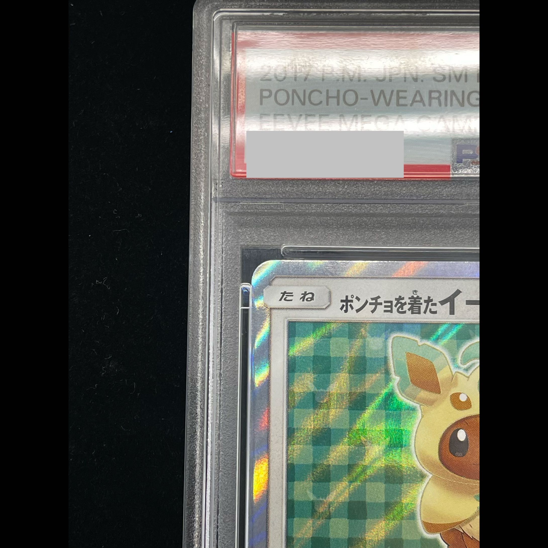 [PSA10] Eevee in a Poncho PROMO 142/SM-P 1枚