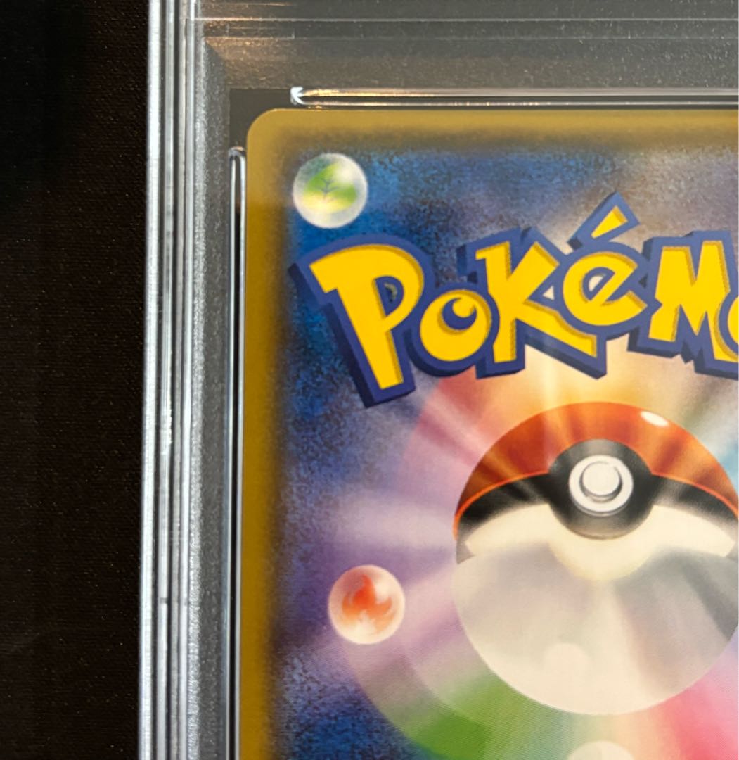 【PSA10】ポンチョを着たイーブイ PROMO 137/SM-P 1枚