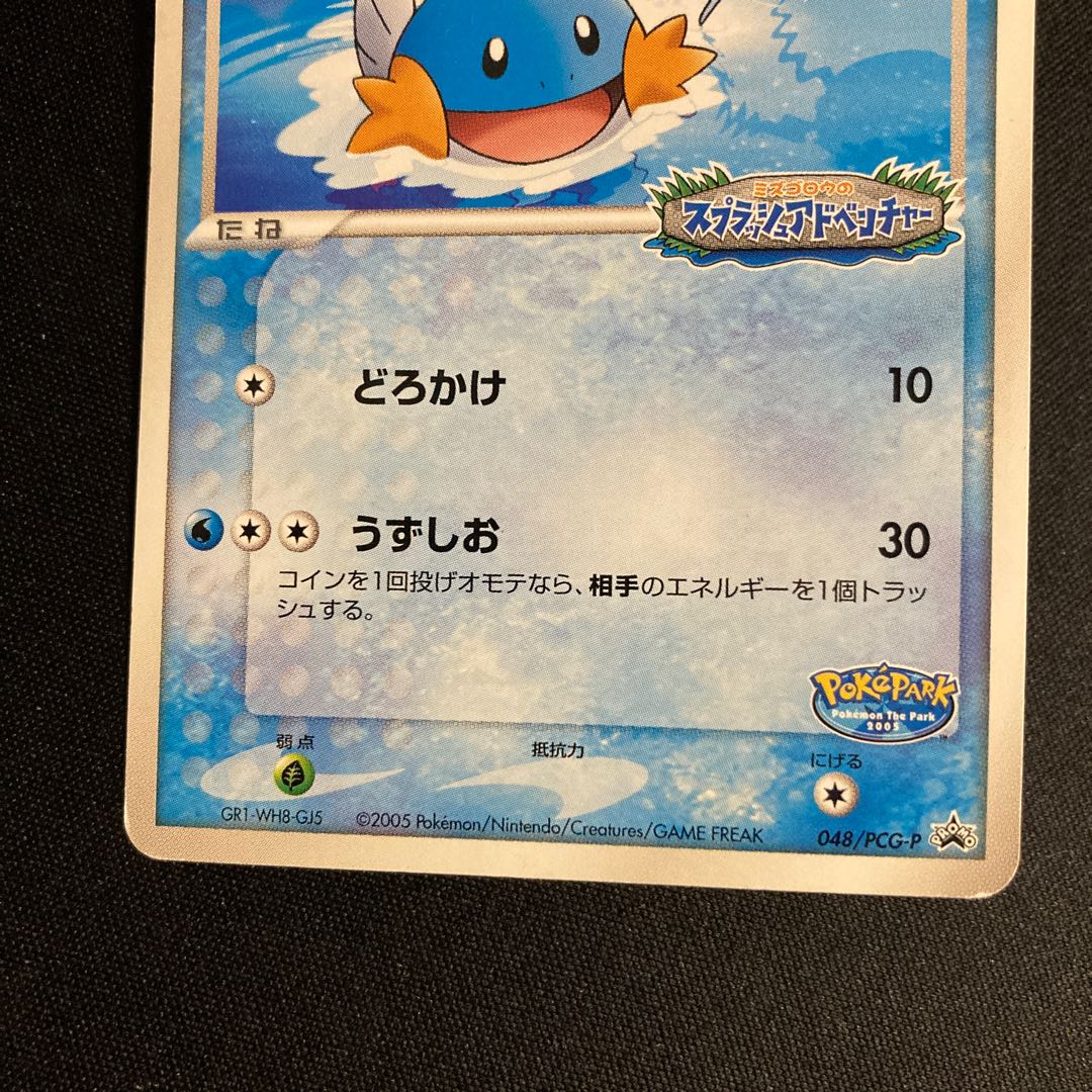 a49 Pokémon Park Mudkip Promo 048\PCG-P Promo: Mudkip's Splash Adventure Pokémon TreTre 1枚