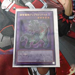 捕食植物アンブロメリドゥス ウルトラレア BLZD-JPS15 1枚