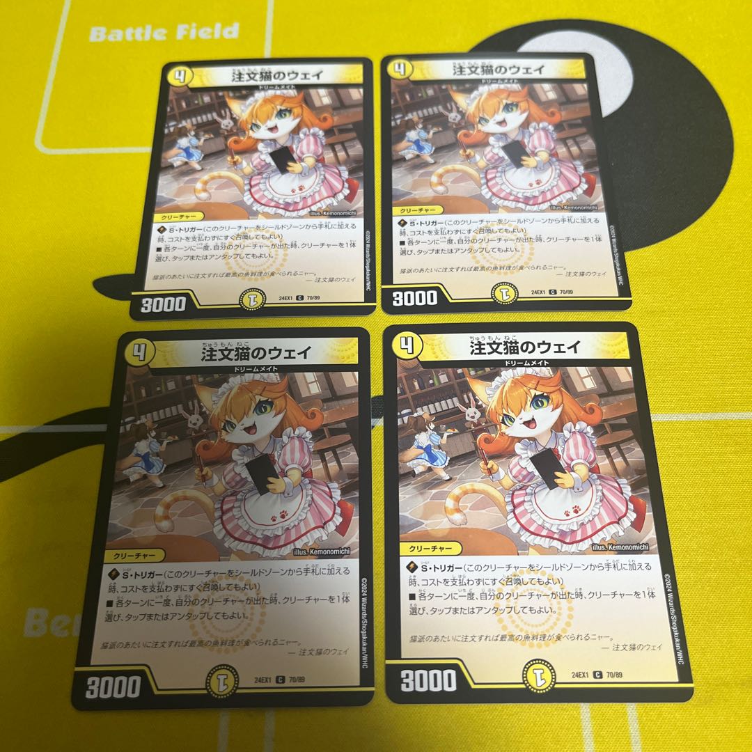 Order Cat's Way C 70/89