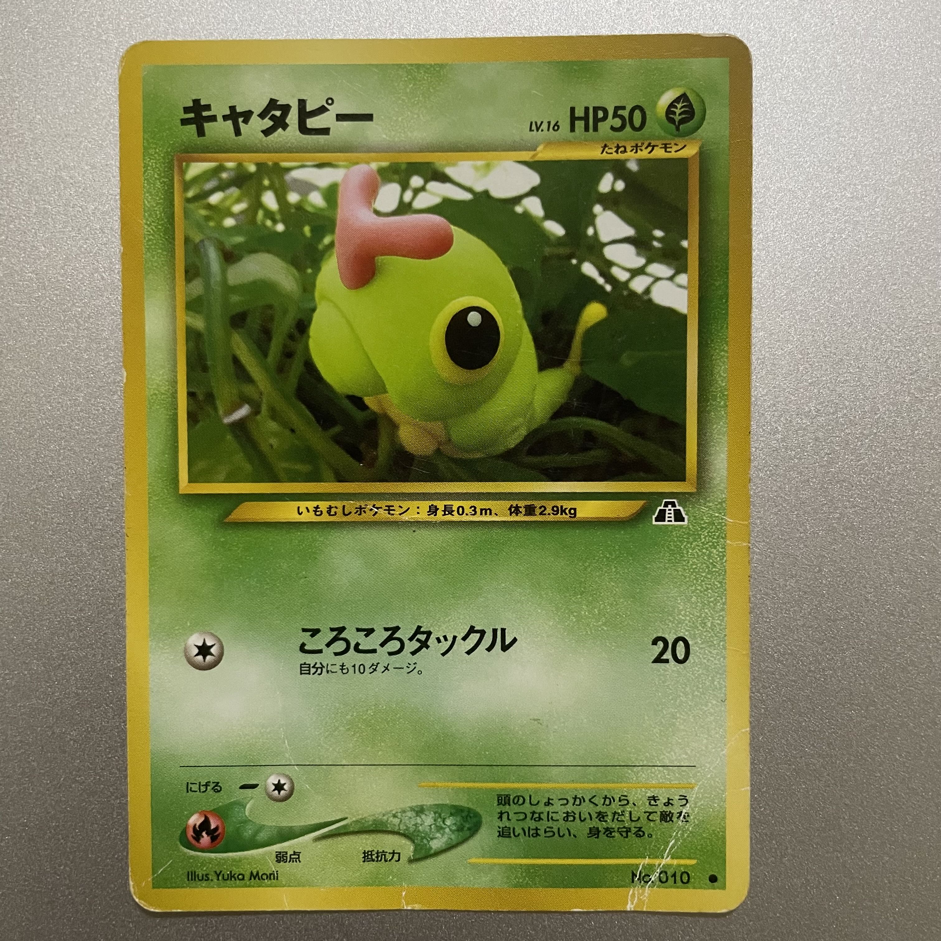 キャタピー　旧裏 1枚