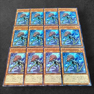 9884 [King of Games] Miscellaneousaurus 12-card set