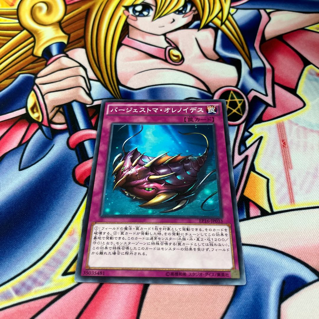 Paleozoic Olenoides Normal JP033 1枚