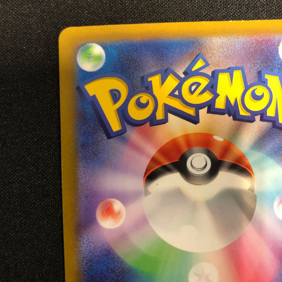 nickel silverfish (Ctenolepisma villosa) Cheren's attentiveness SAR 241/172