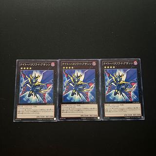 3446 Night Papilloperative#2737