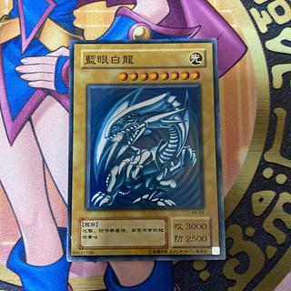 藍眼白龍」の激安通販 | magi 藍眼白龍」の激安通販 | magi