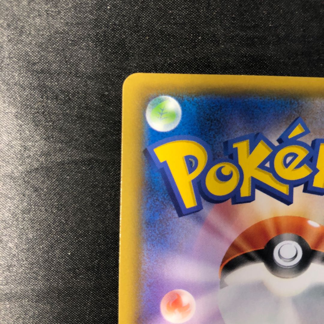 スワンナ S 295/190 1枚