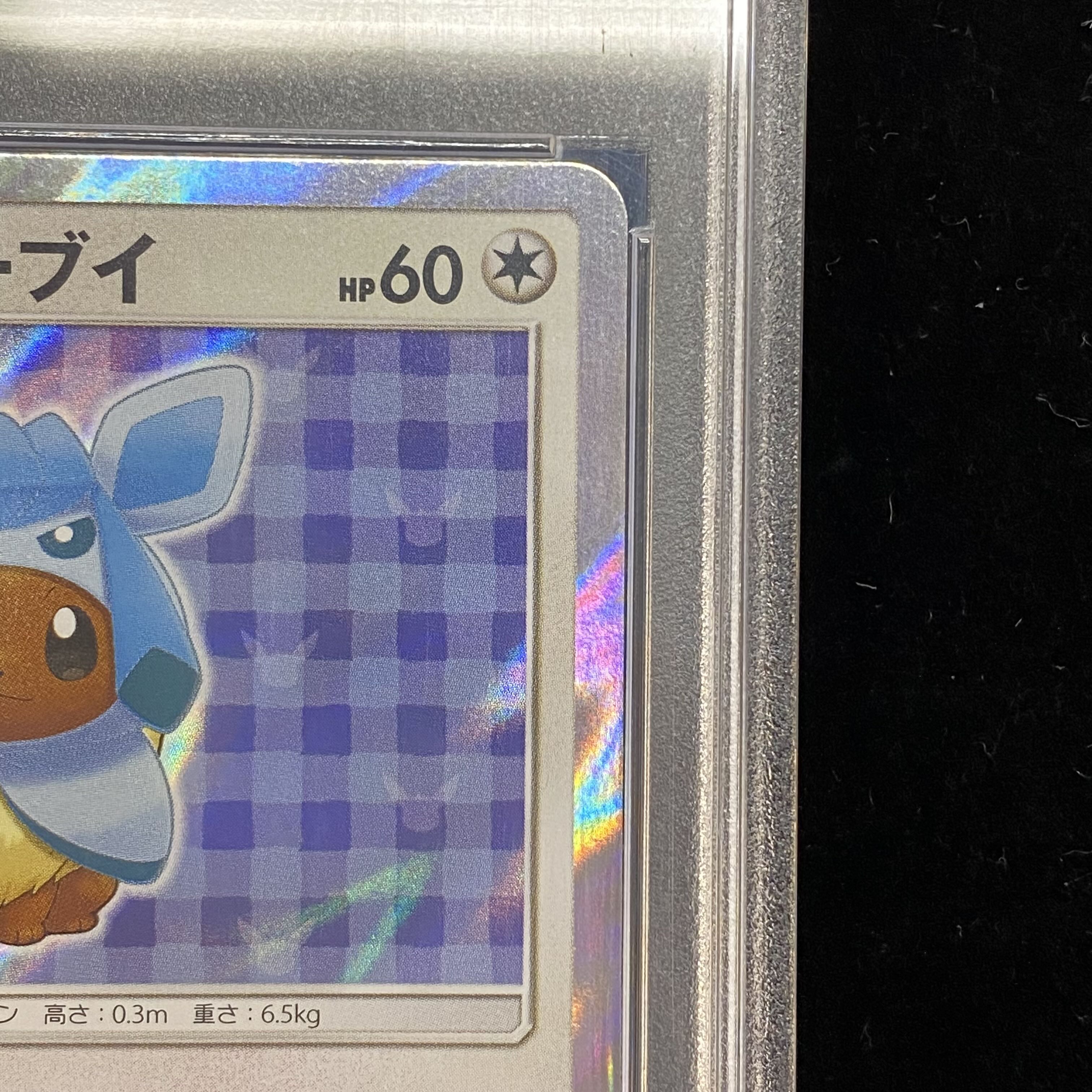 【PSA10】ポンチョを着たイーブイ PROMO 143/SM-P