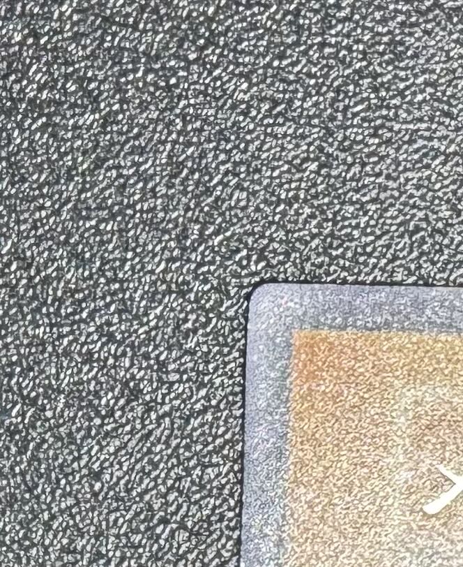 Metal Zoa / Machine / Yu-Gi-Oh / Early Secret / Rare 1枚