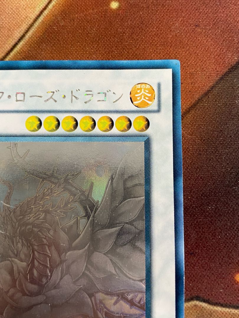 遊戯王　ブラックローズドラゴン　CSOCホロ　ホログラフィック