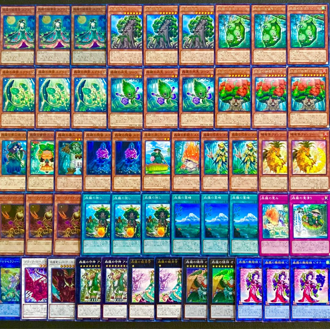 遊戯王【超ガチ構築！！】森羅デッキ40枚の通販 電光雪花