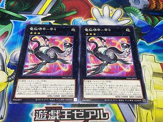 Y-1613 Dennou Sakai Kou - Kou Normal JP042