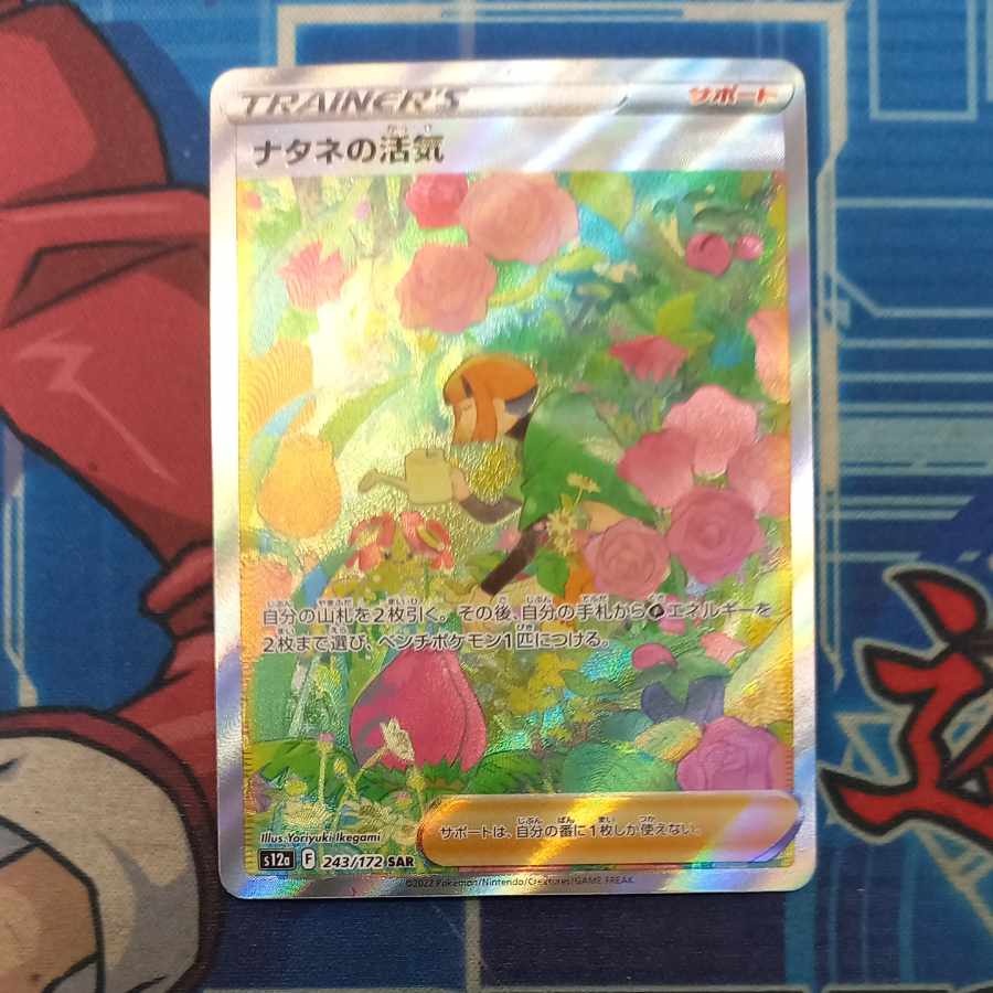 状態B 状態B ナタネの活気 SAR 243/172