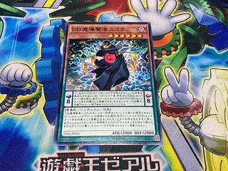 Y-1898 D/D Savant Nikola Normal JP011