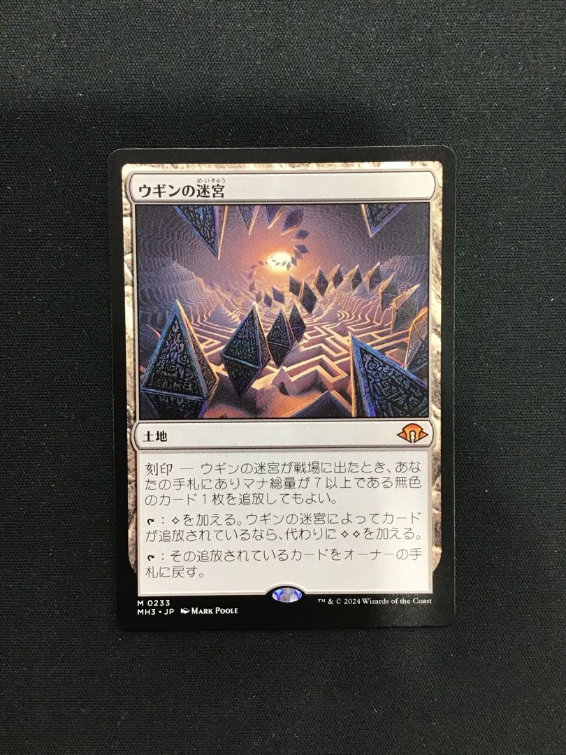 ウギンの迷宮 日本語ウギンの迷宮日本語4枚セット ウギンの迷宮