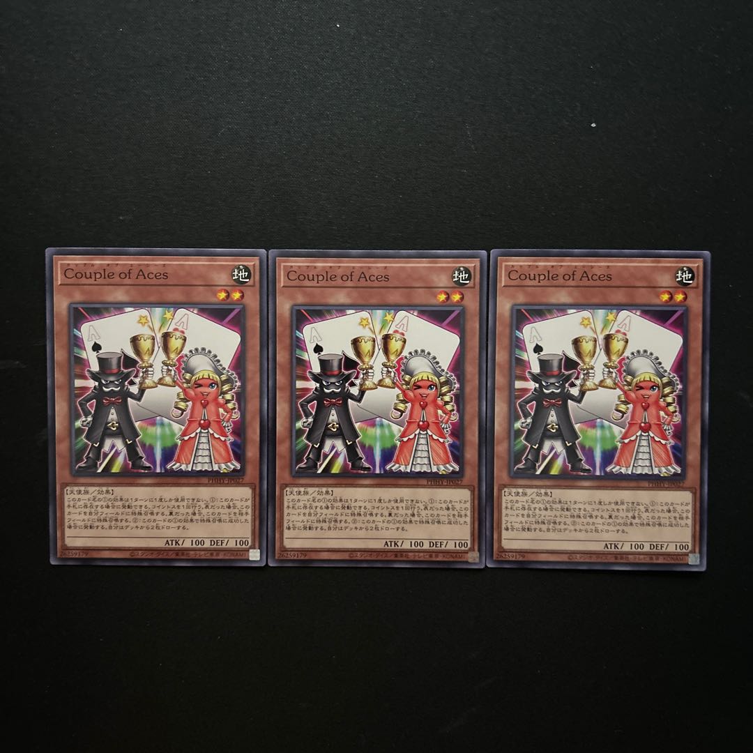 2955 Couple of Aces *1485