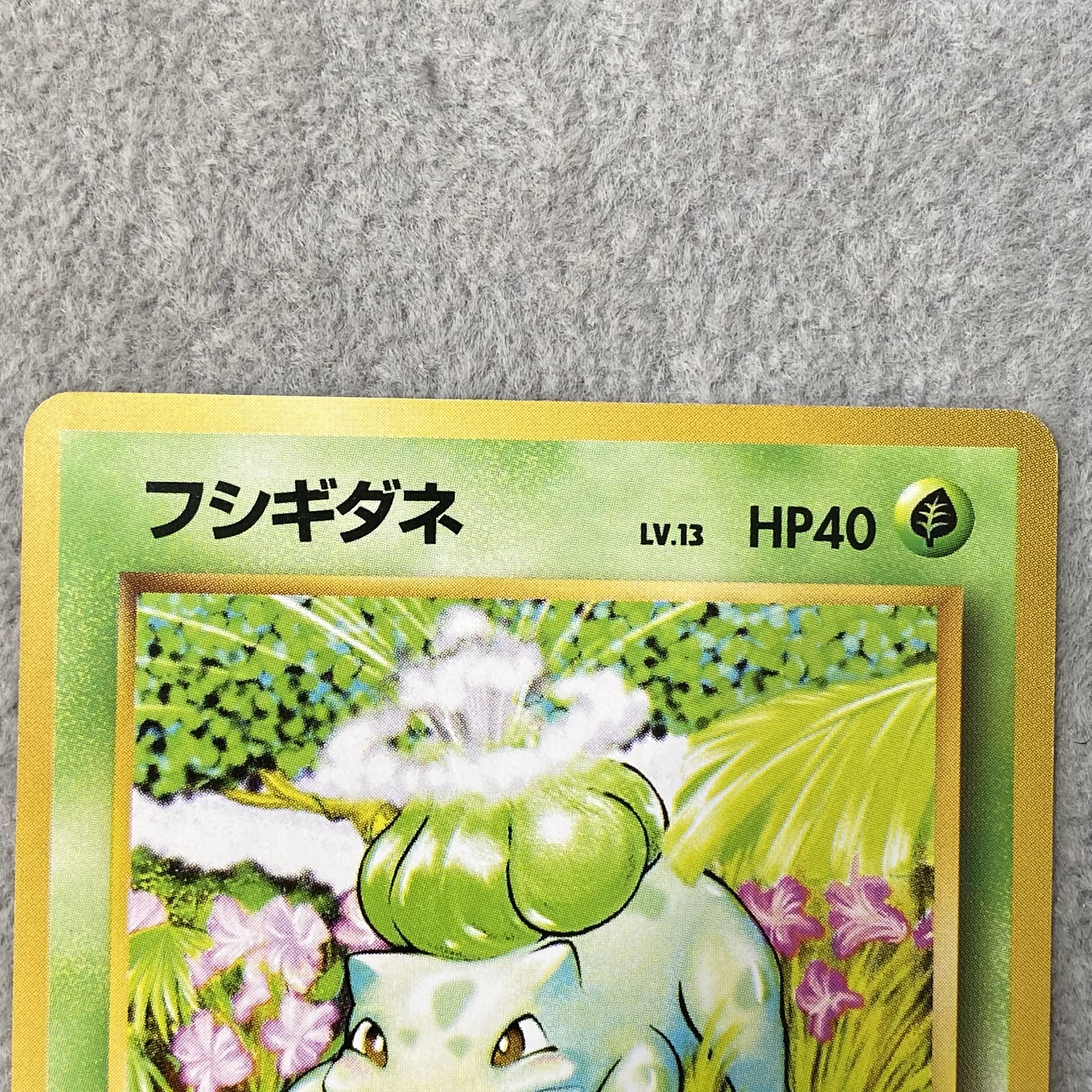 Bulbasaur First Edition, No Markings, Old Back Cover  1枚