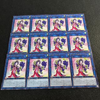 a2887 [Yu-Gi-Oh!] Forest Ra's Dancer Pione 12-Card Set 12枚