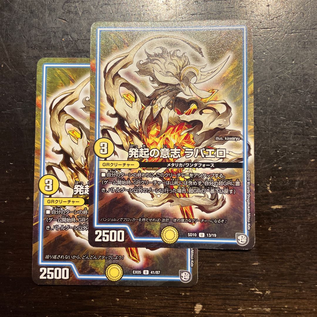 発起の意志　ラパエロ