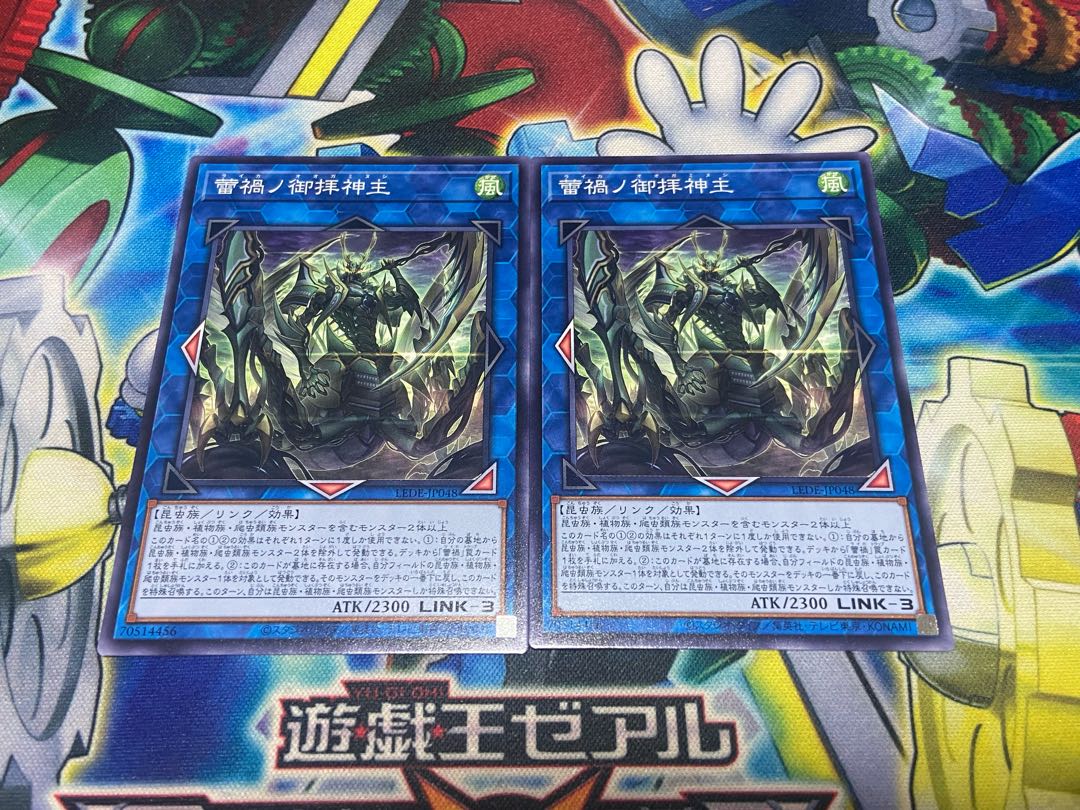 Y-1784 蕾禍ノ御拝神主 ノーマル LEDE-JP048