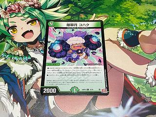 D-50 Bakusuigetsu Kohaku C 74/76 1枚