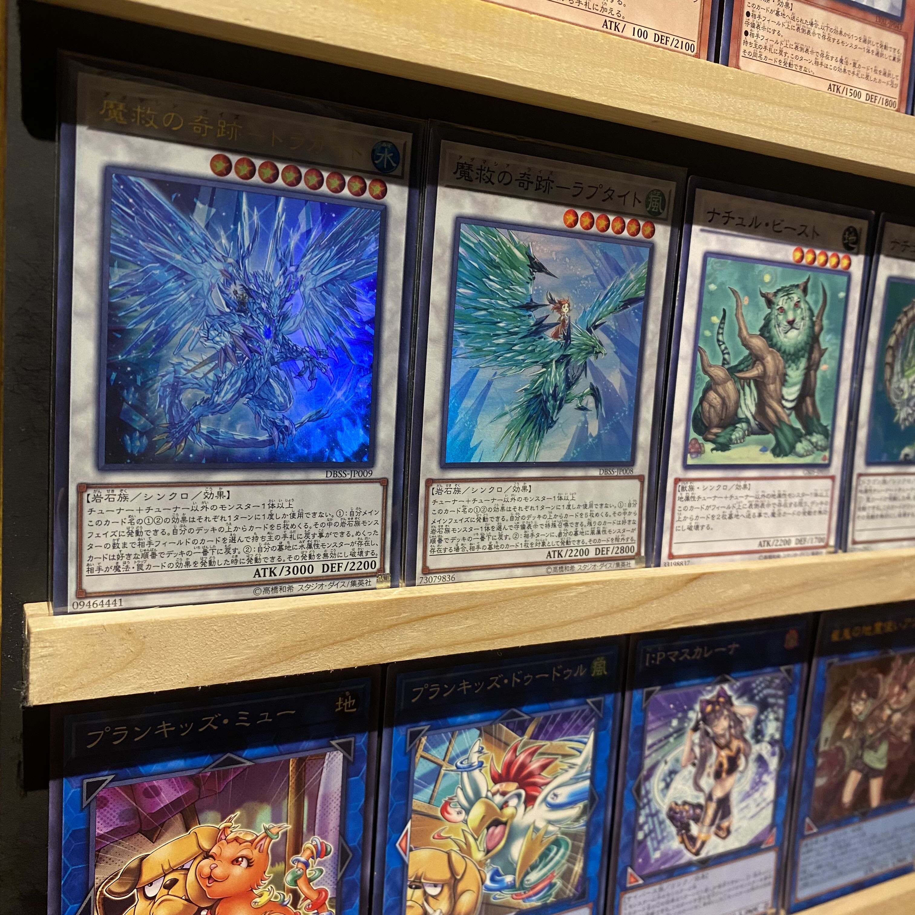 即日発送!【魔救】アダマシア デッキ 遊戯王 魔救の探索者 魔救 即日発送!【魔救】アダマシア デッキ 遊戯王 魔救の探索者 魔救