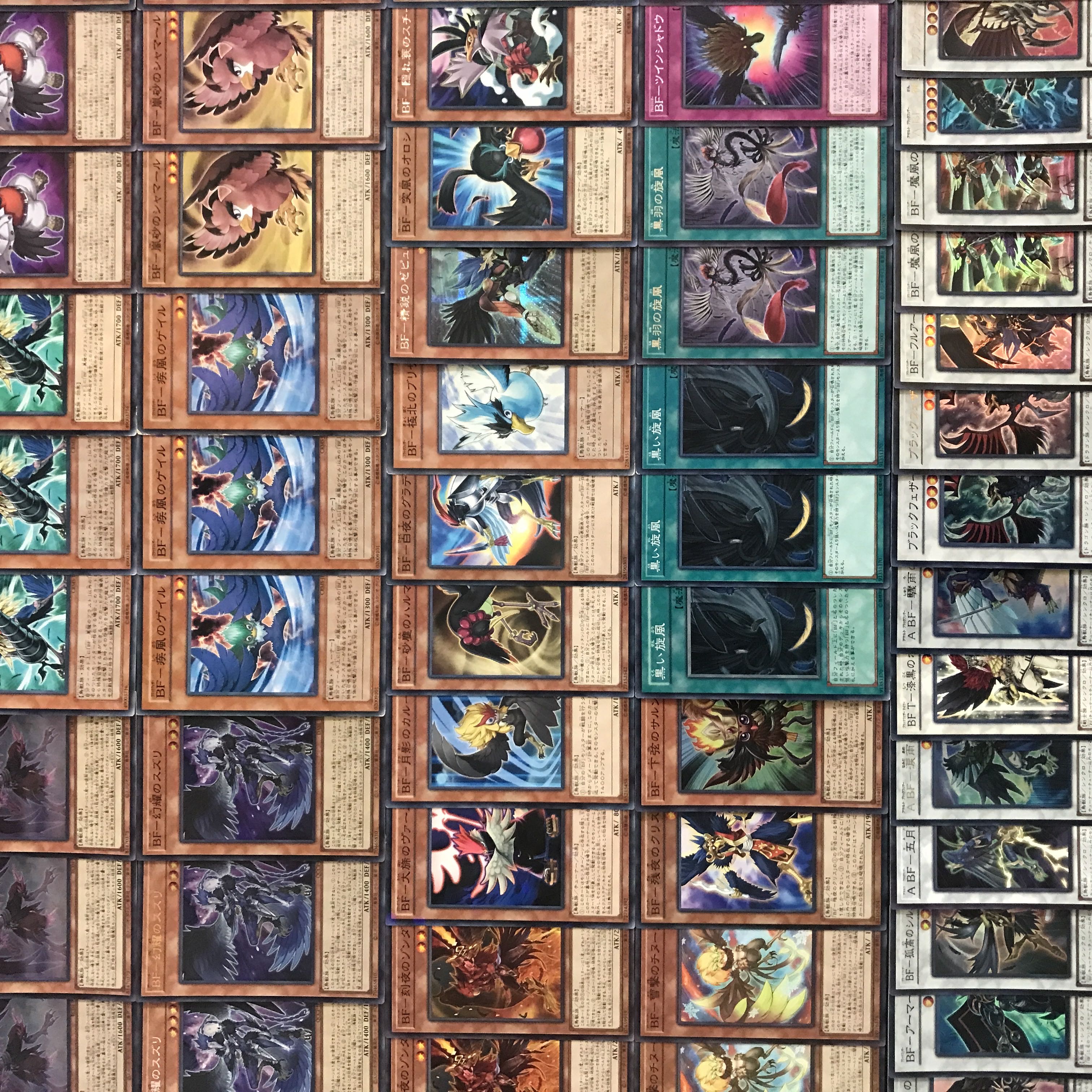 遊戯王【新規入り構築‼️】B•Fデッキ40枚