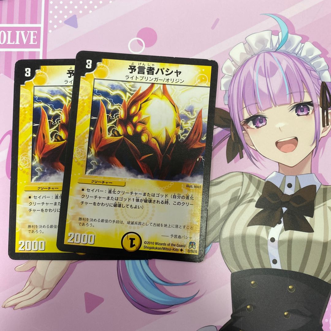 Divination Person Pasha U 22/55/Y8