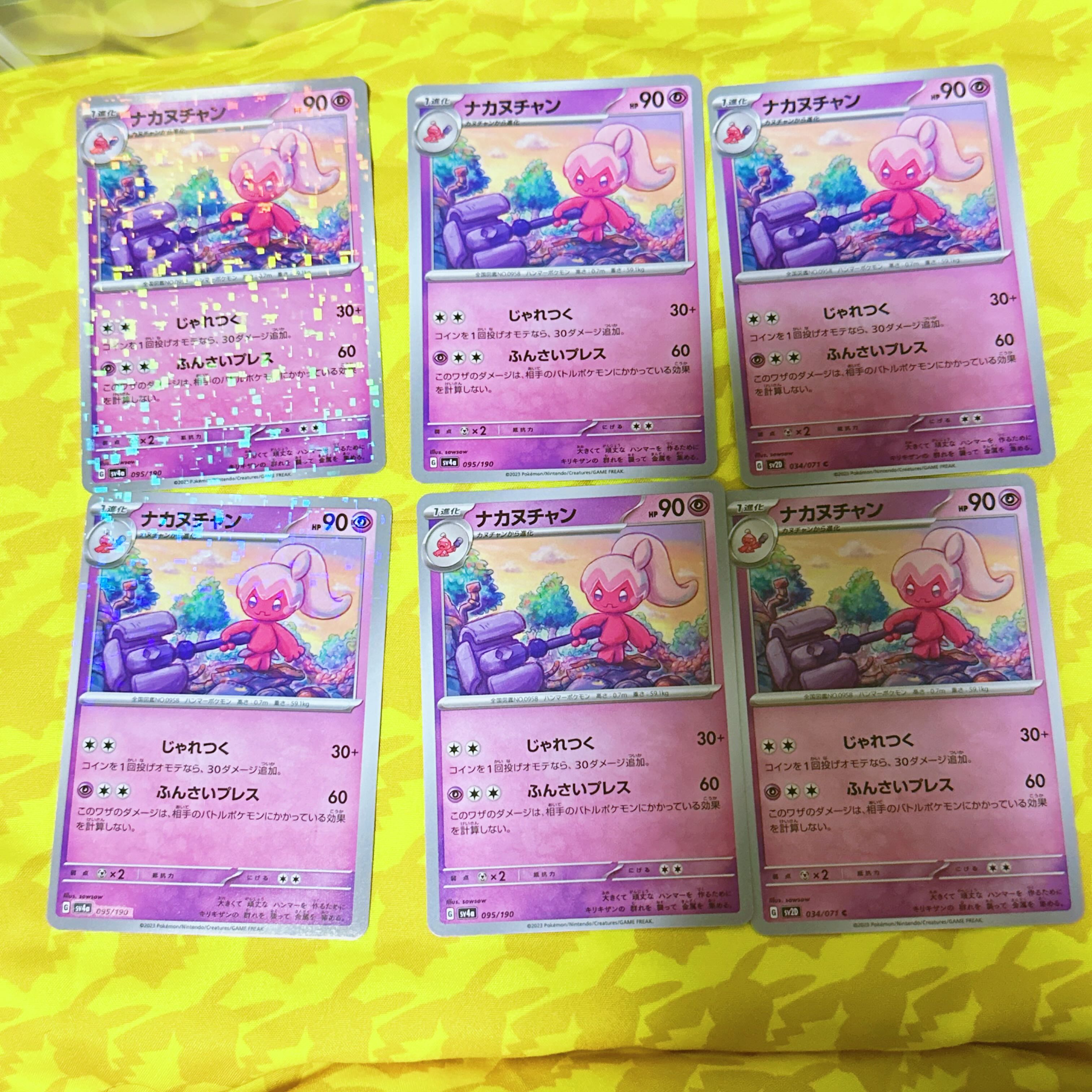 【00196】 ナカヌチャン 095/190