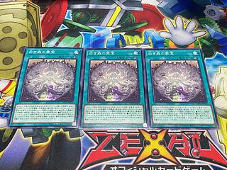 Y-4059 Crime Treasure of the White Forest Normal SUDA-JP055 3枚