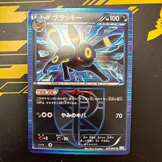 美品　ブラッキー　bw8 1枚