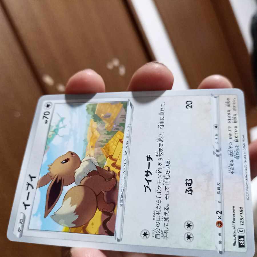 21-1/ C Small Used Eevee