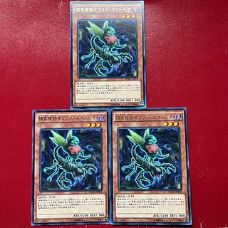 Aoz Ayq An Predaplant Ophrys Scorpio Rare JP009 3枚