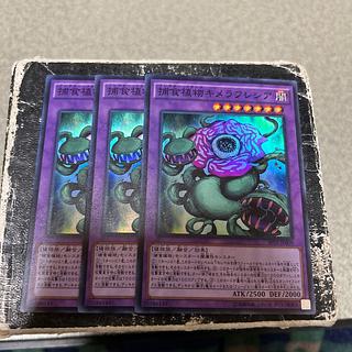 捕食植物キメラフレシア スーパーレア JP009 3枚