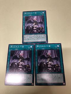 Forbidden Droplet Normal SD48-JP029 3枚