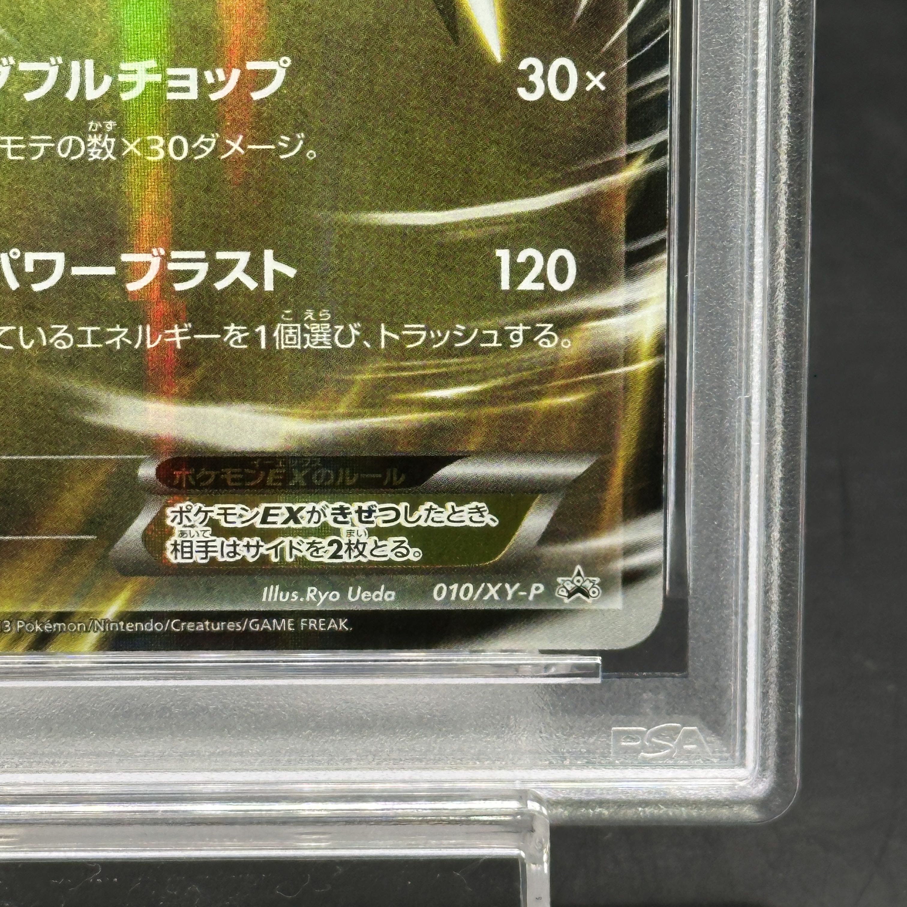 PSA10] GarchompEX PROMO 010/XY-P 1枚