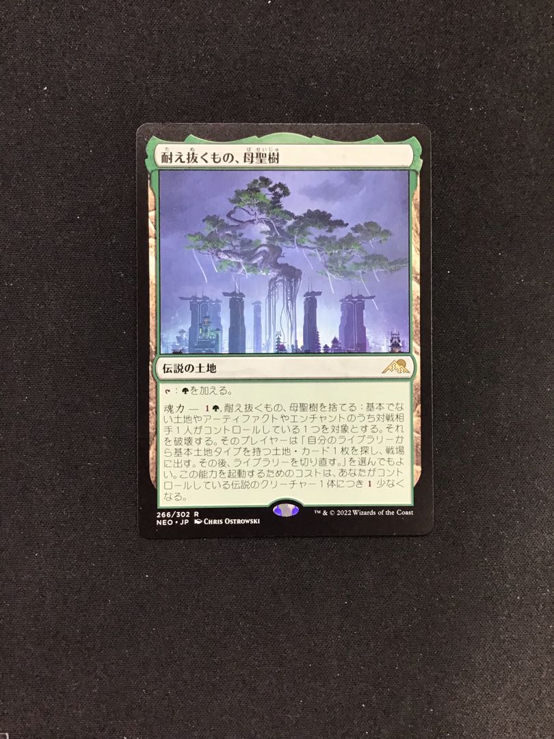 耐えぬくもの、母聖樹(NEO) 1枚