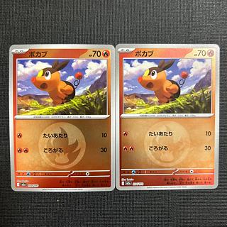 Tepig (Energy mark pattern/mirror spec.) 024/193