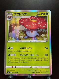 Rakurakudo] Pokeka Vileplume